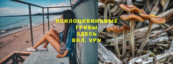 соль ск Лагань