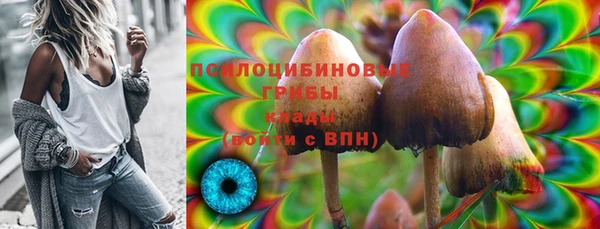 соль ск Лагань