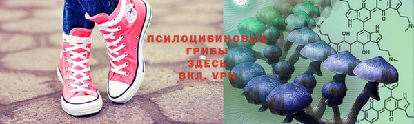соль ск Лагань